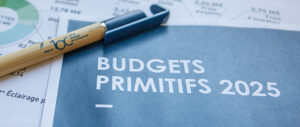 visuel-budget-primitif